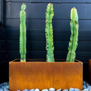 Weathering Steel Products | Corten Steel Garden Features | Corten Steel Solutions (Shop Page) 1 buy rectangular planter box online
